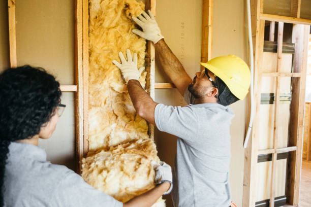 Best Commercial Insulation Services  in Jupiter Farms, FL