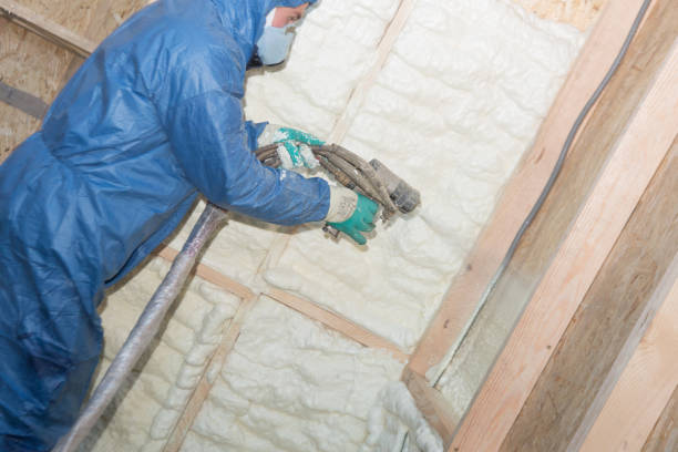 Best Batt and Roll Insulation  in Jupiter Farms, FL